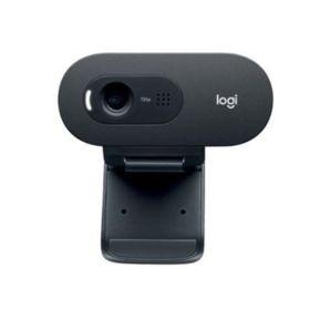 Logitech C505e Webcam - 30 fps - USB