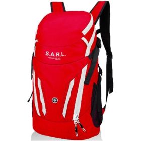 Swissdigital Design Carrying Case (Backpack) for 15.6" Notebook - Red